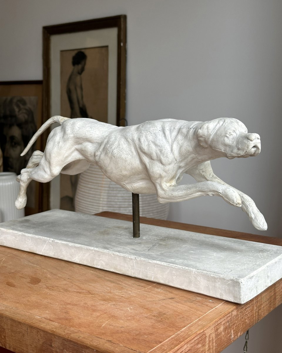 Lévrier en pleine course - Plâtre-photo-1