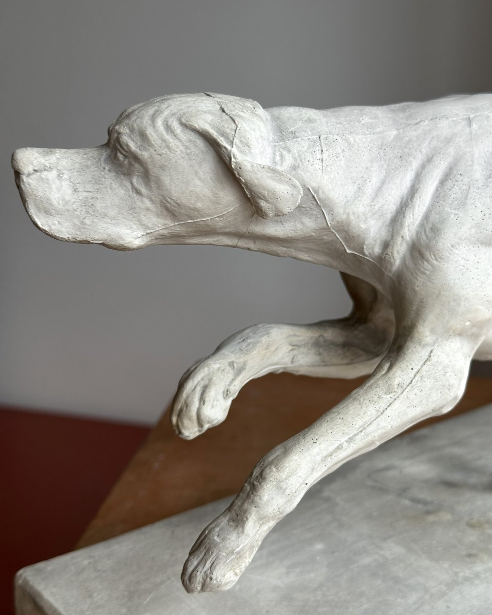 Lévrier en pleine course - Plâtre-photo-2