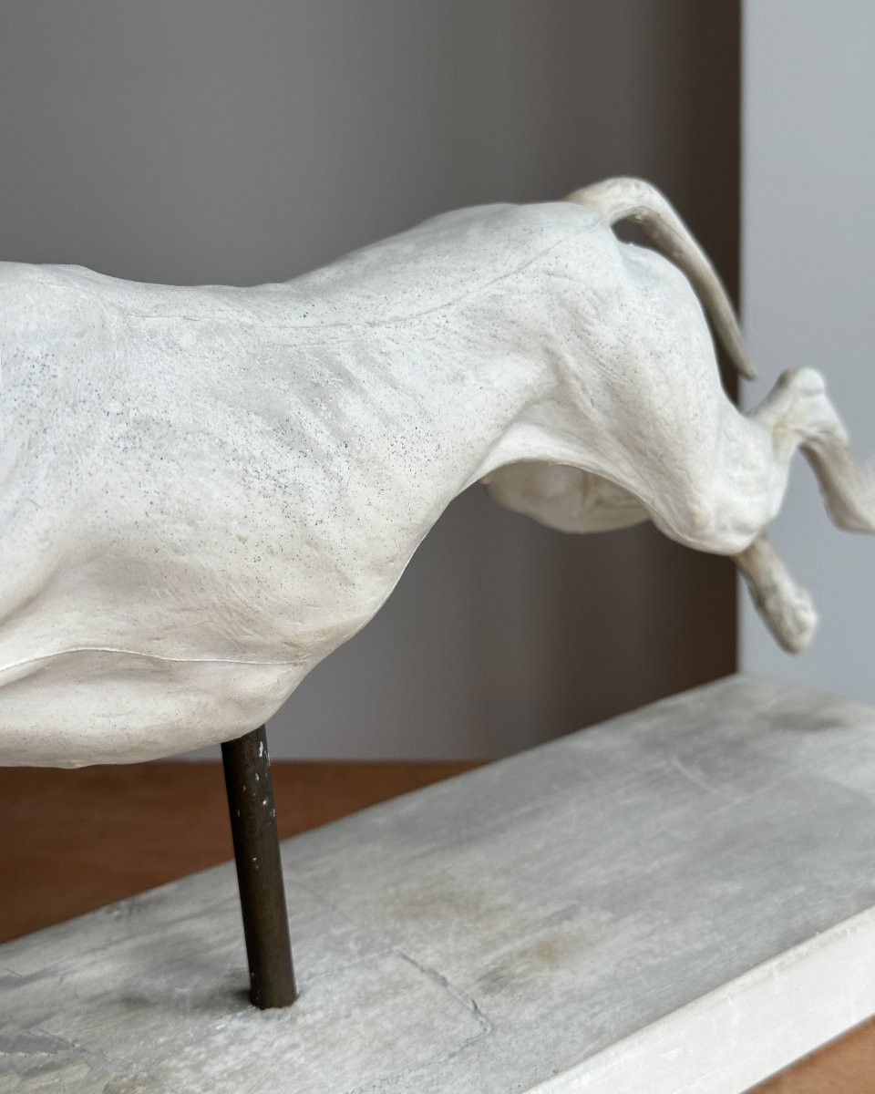 Lévrier en pleine course - Plâtre-photo-3