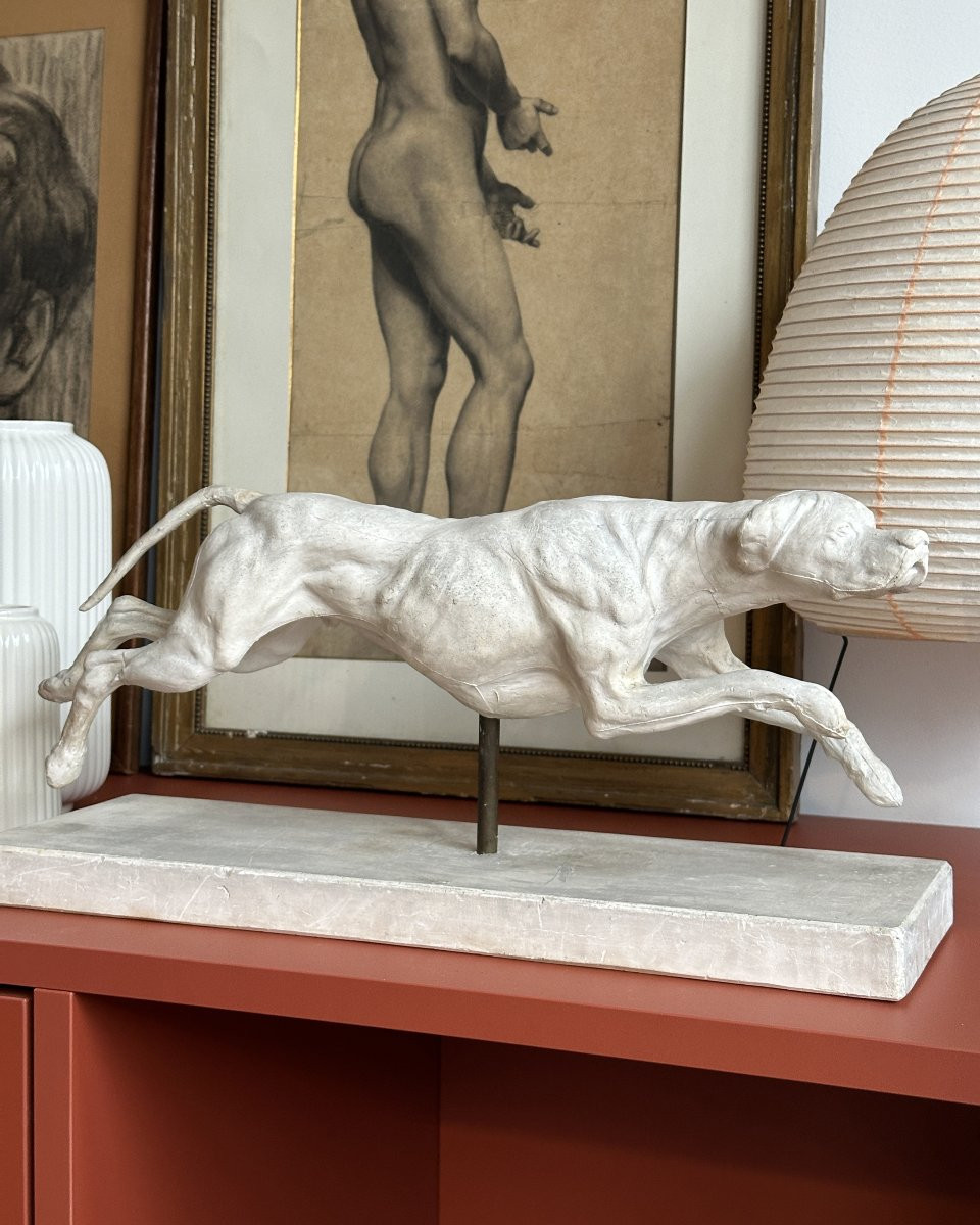 Lévrier en pleine course - Plâtre-photo-6