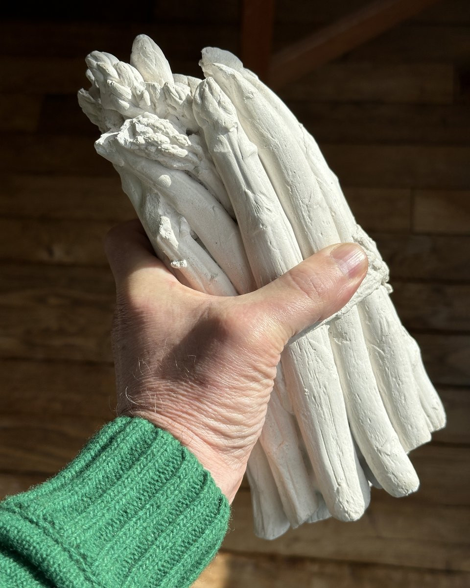 Hommage à Manet - Asperges en plâtre-photo-5