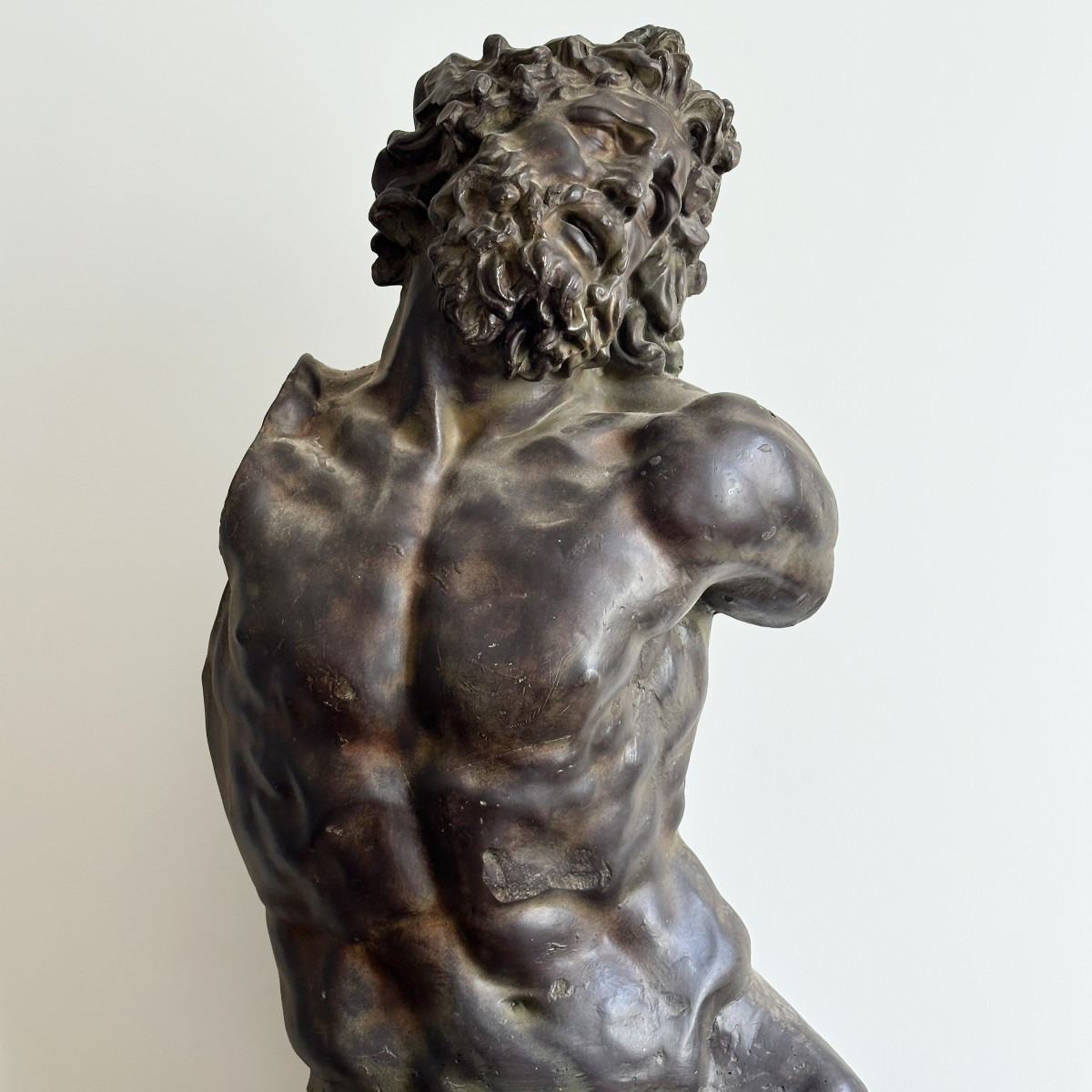 Laocoon - Grand buste en fibre de verre - d'après l'antique