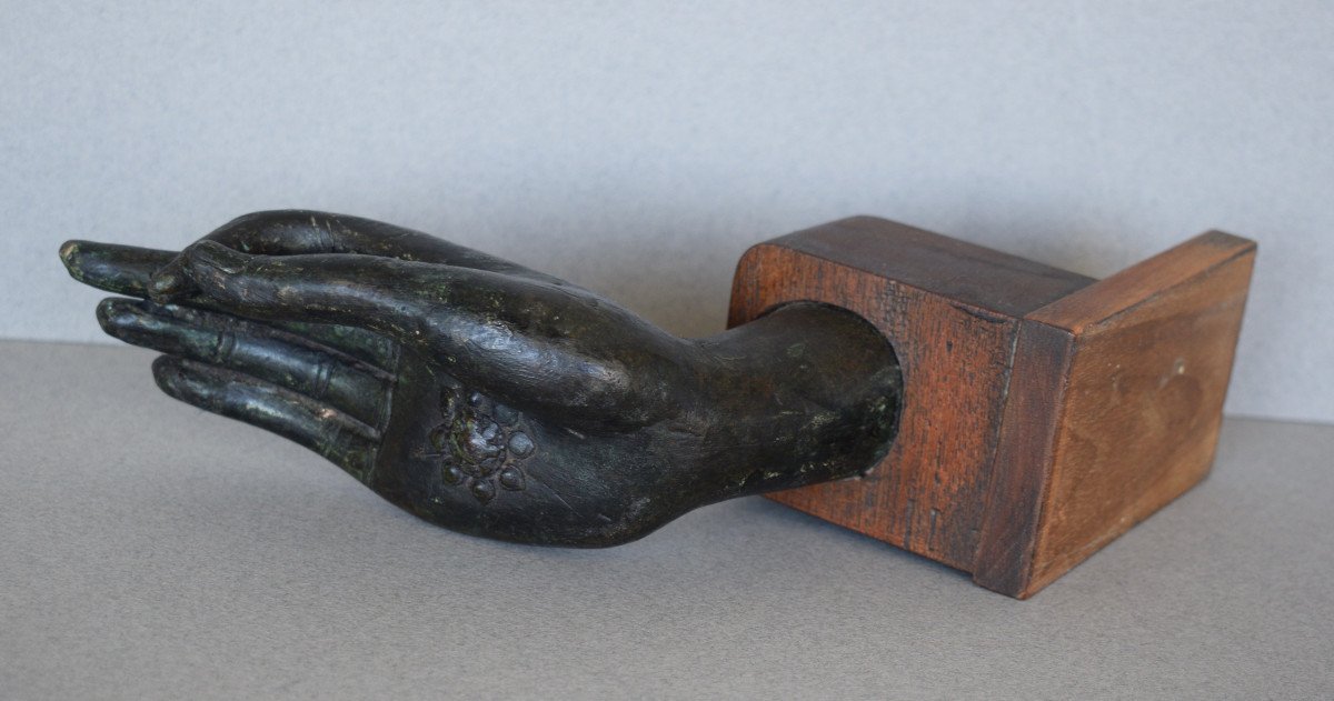 Buddha's Hand Mounted In A Bookend-photo-3
