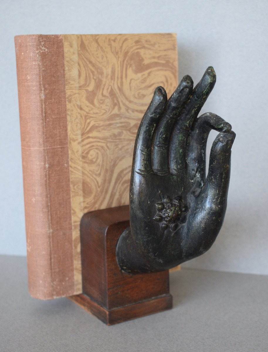 Buddha's Hand Mounted In A Bookend-photo-2