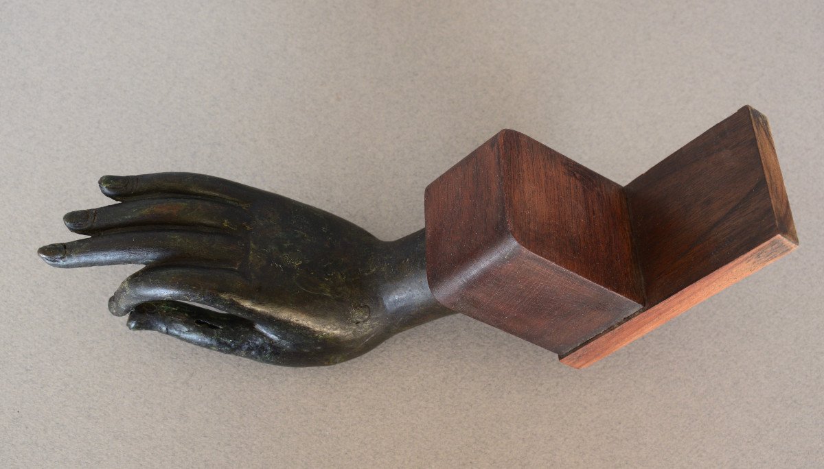 Buddha's Hand Mounted In A Bookend-photo-4