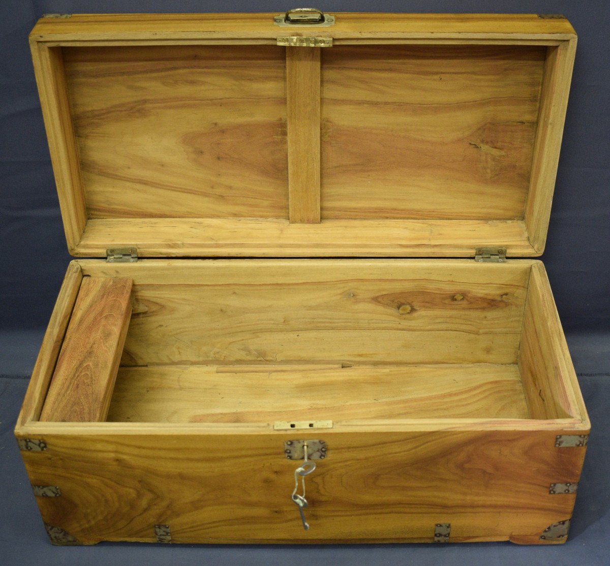 Camphor Marine Trunk-photo-3