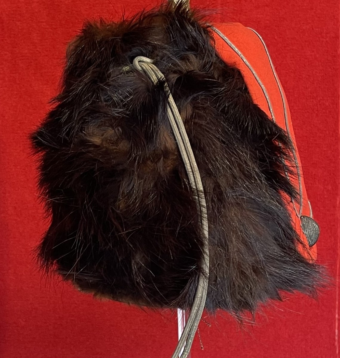 British Officer's Sable Busby Of The West Kent Yeomanry, Late 19th Century / Royal Hussars-photo-1
