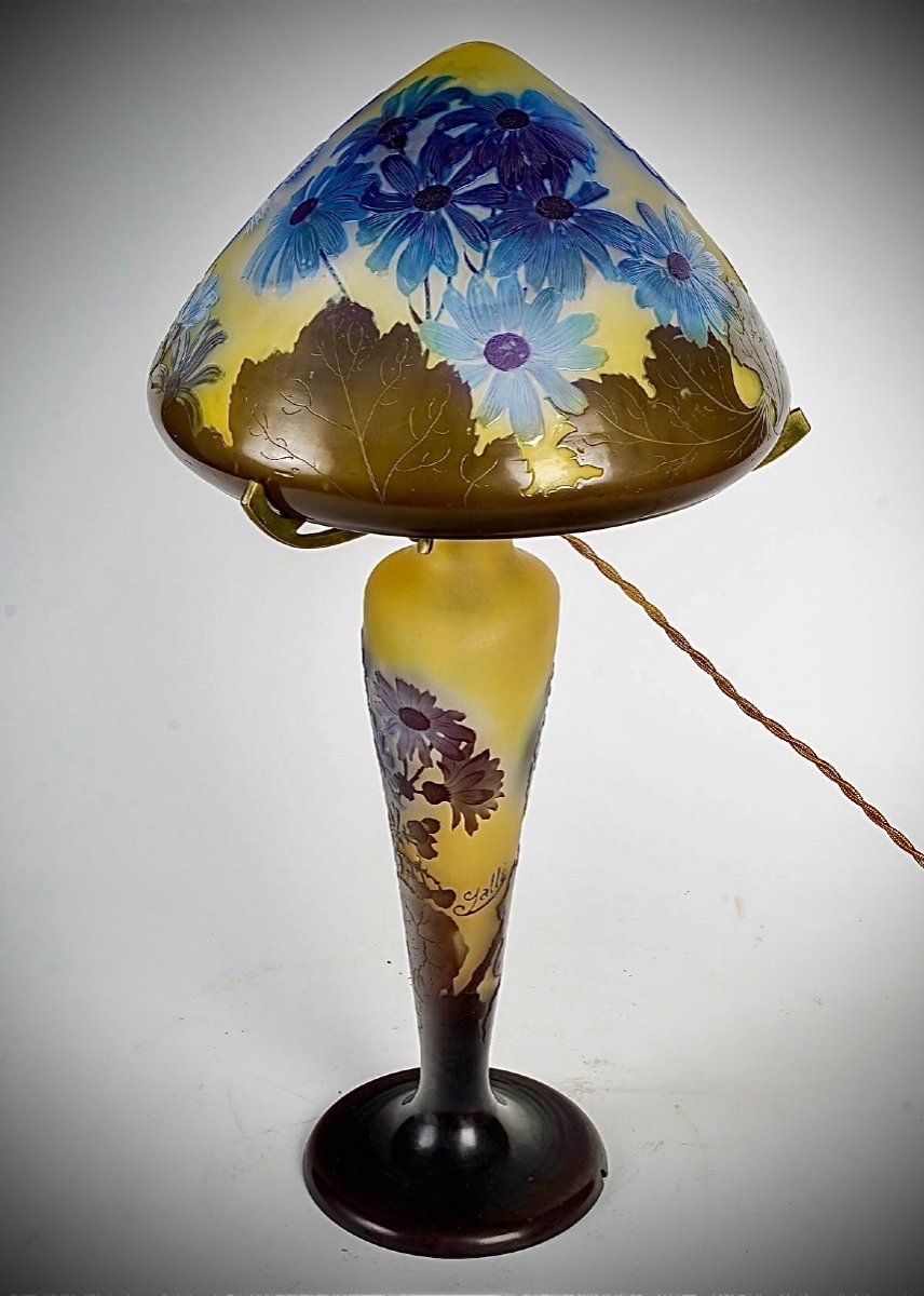 Lampe De Galle A Décor De Fleurs De Cinéraires -photo-4