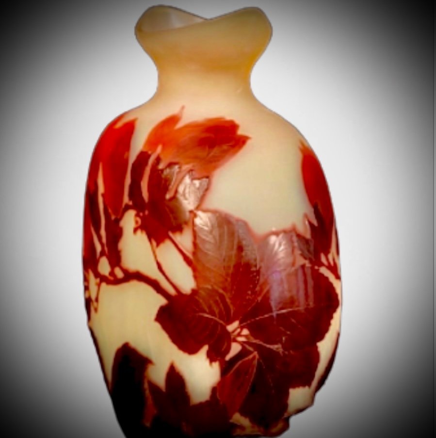 Vase D Emile Galle Art Nouveau -photo-3