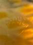 1785008-alb-6a3e70d833367.jpg