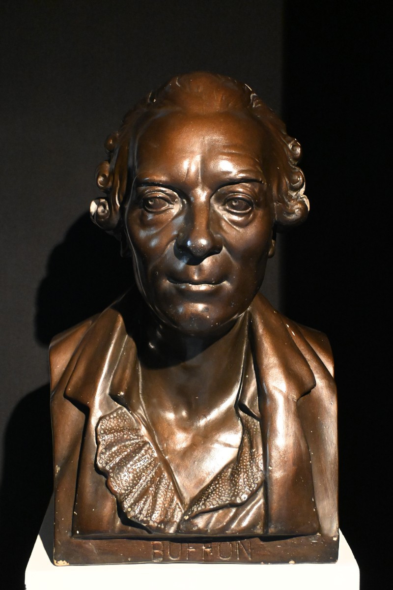 Plaster Bust Of Georges Louis Leclerc, Count Of Buffon, Late 19th Century
