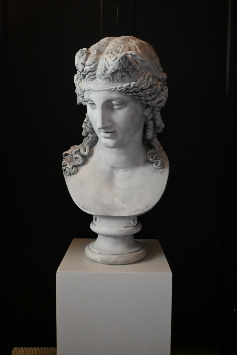 Buste plâtre d'Ariane d'époque 19ème siècle-photo-2