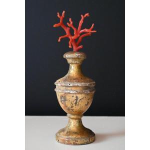 Corail rouge de Méditerranée