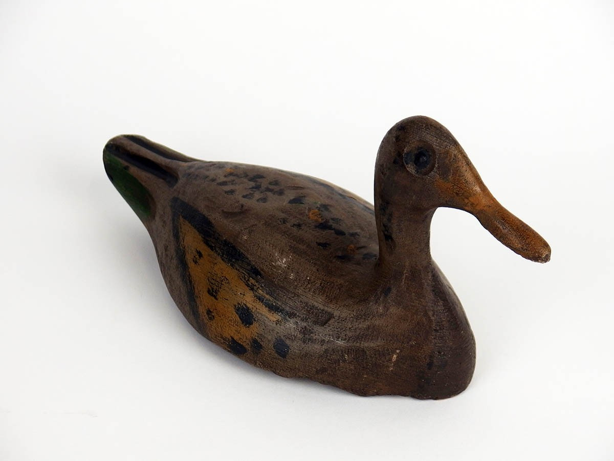 Wooden Duck-photo-3