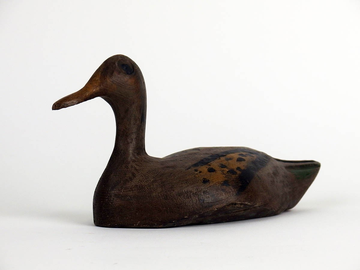 Wooden Duck-photo-4