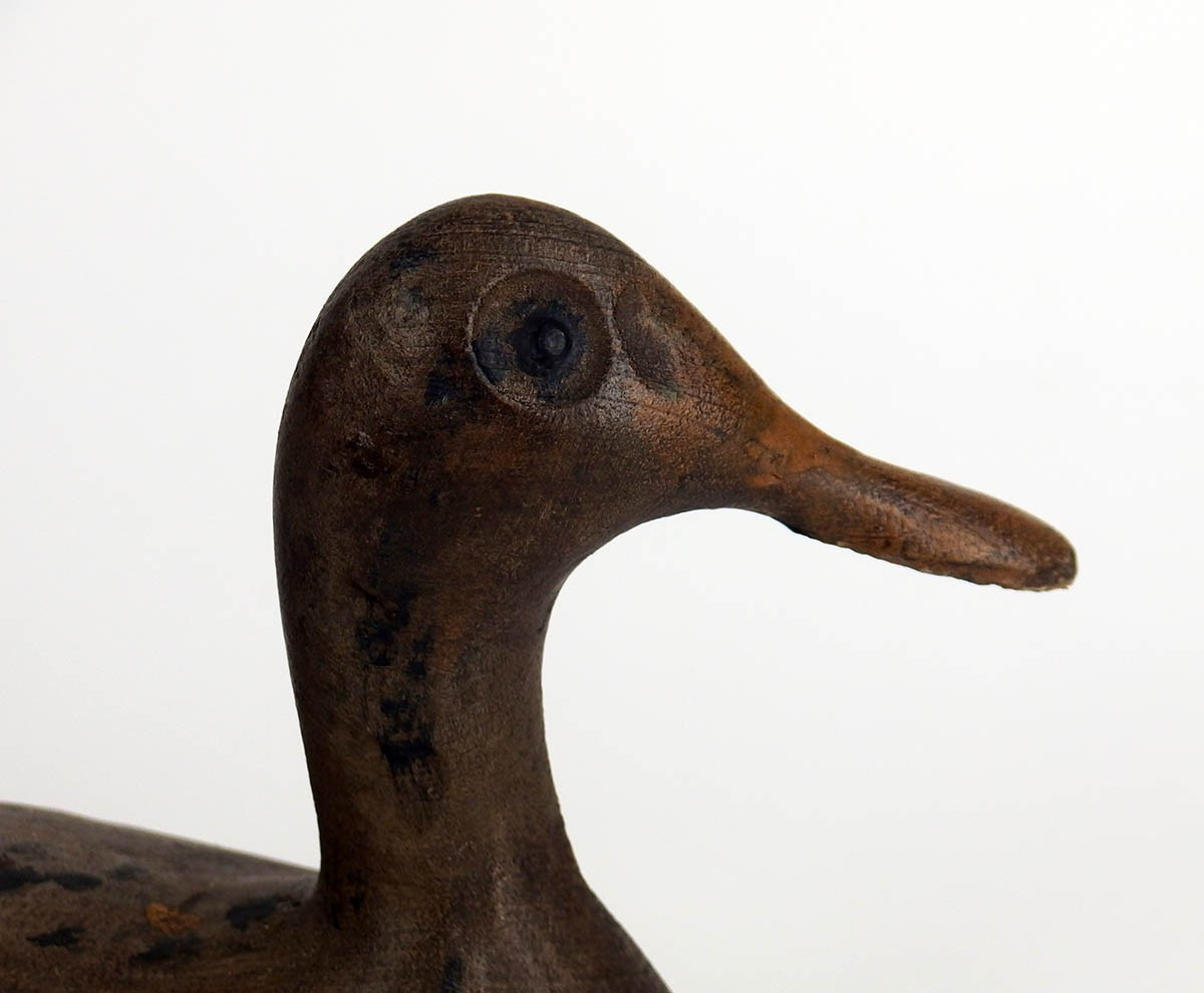 Wooden Duck-photo-4