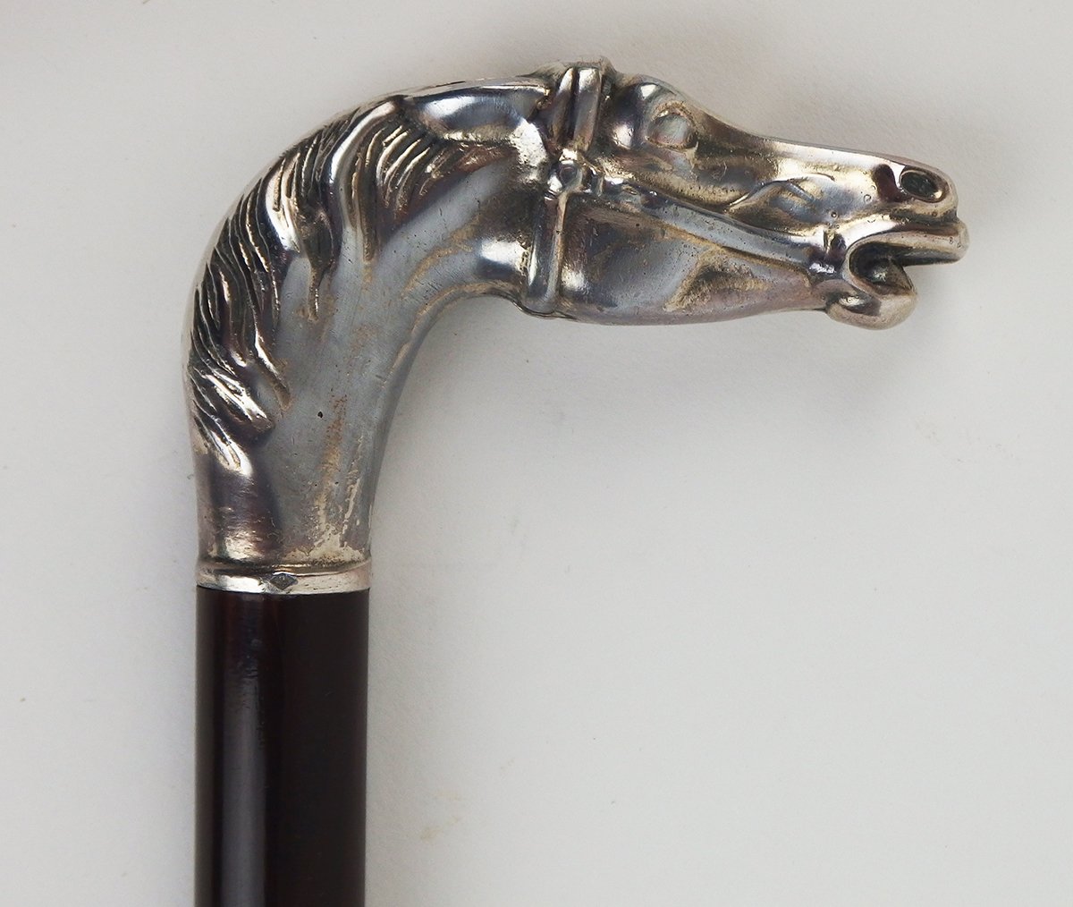 "horse Head" Cane-photo-4