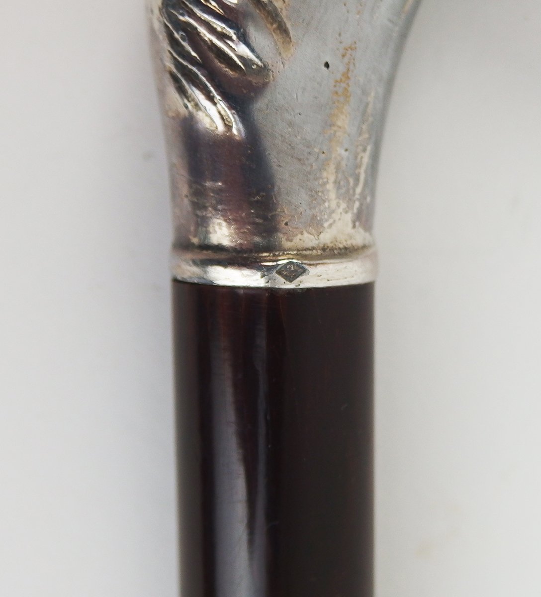 "horse Head" Cane-photo-1