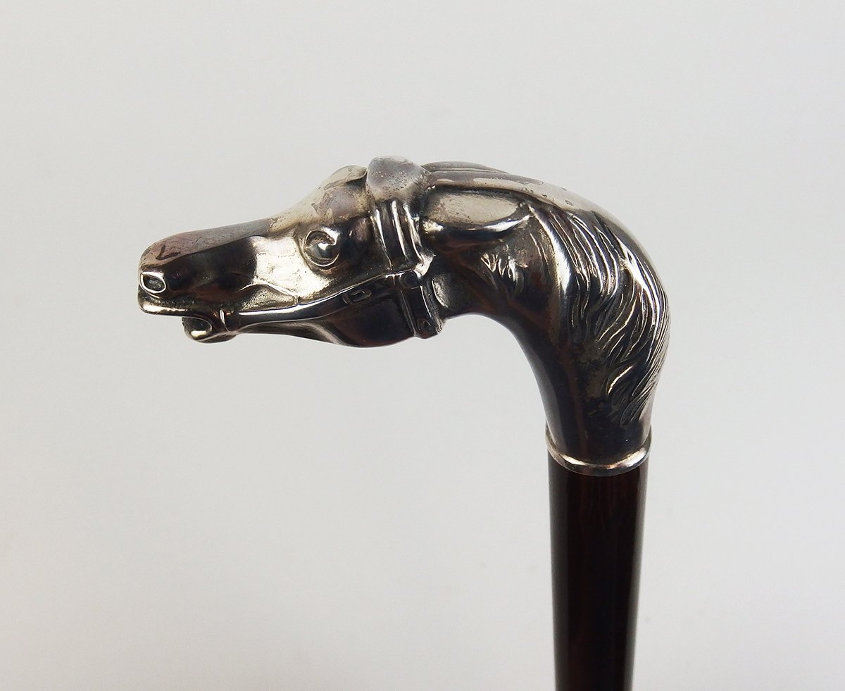 "horse Head" Cane-photo-2