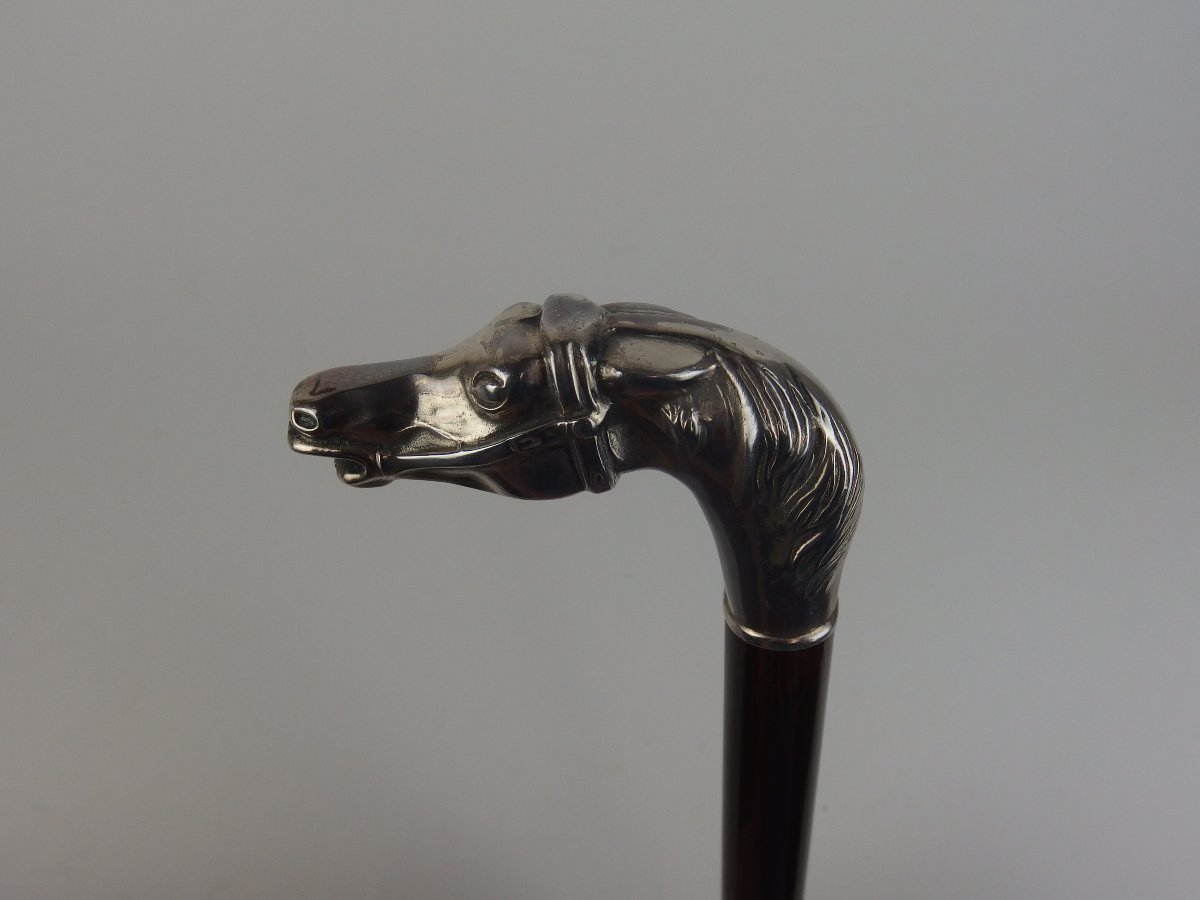 "horse Head" Cane-photo-4