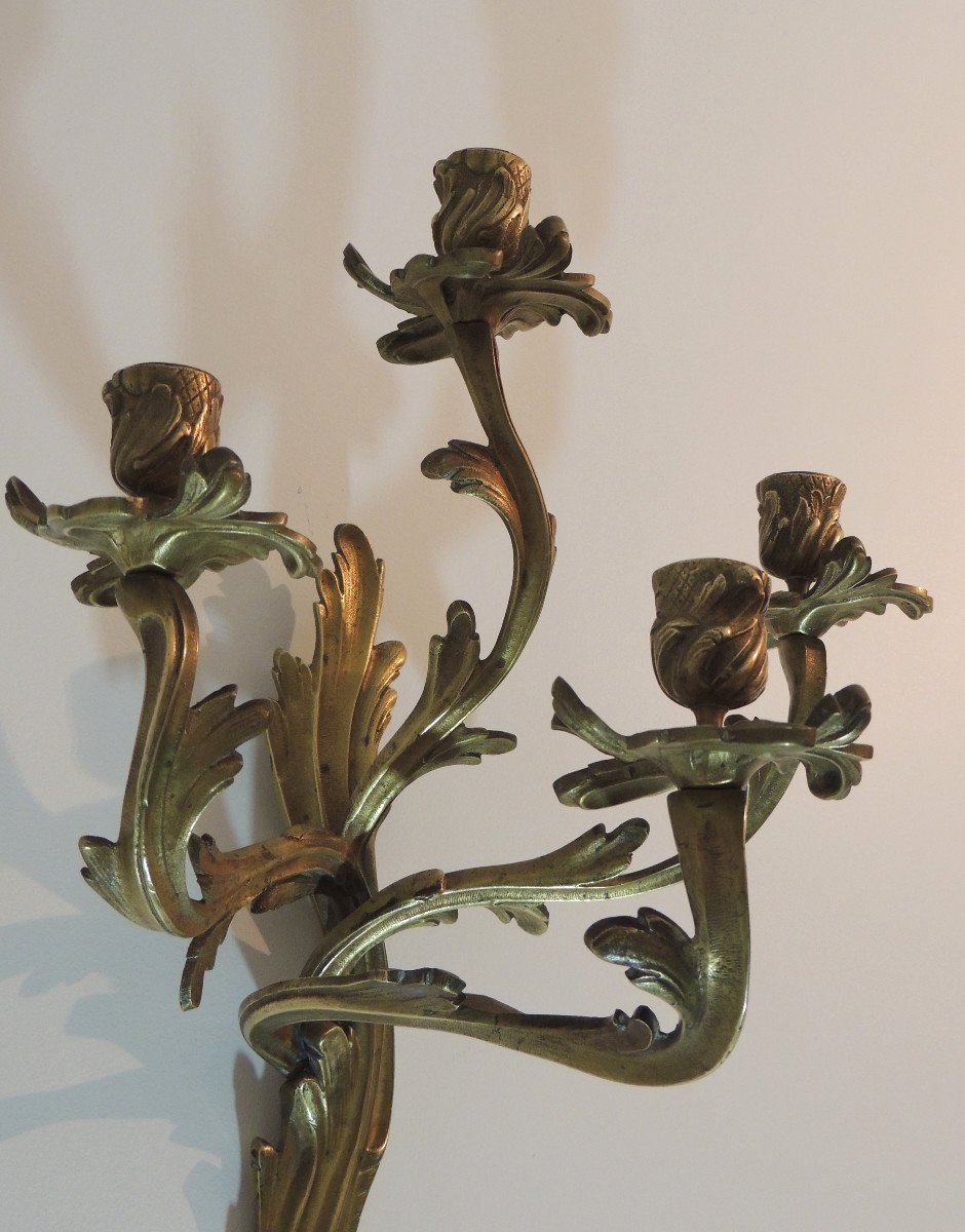 Paire d'Appliques à 4 Feux De Style Louis XV  Rocaille En Bronze Doré , 19 ème Siècle-photo-3