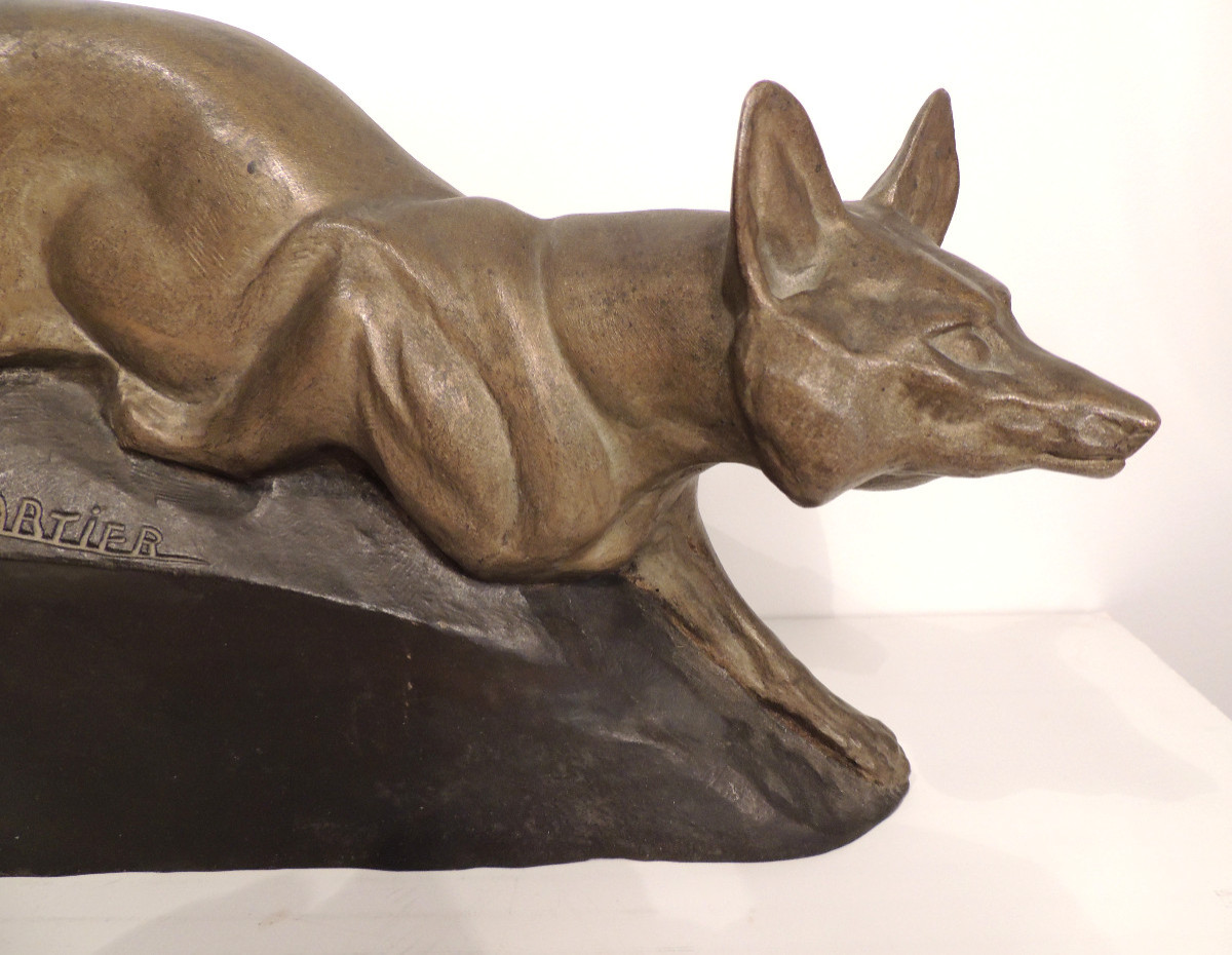 sculpture animalière d'un renard en bronze de 51 cm par Thomas Cartier ( 1879 - 1943 ) , 20 ème-photo-3