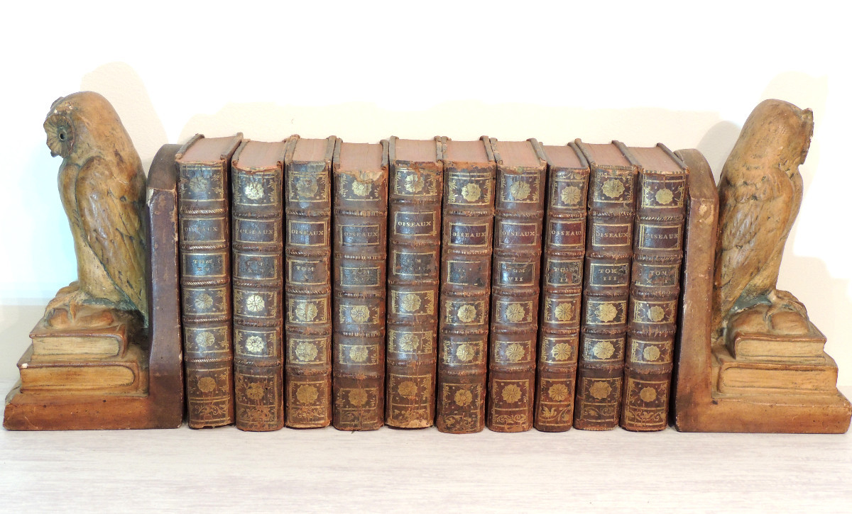 Natural History Of Birds, 10 Volumes, Published In Paris By The Royal Printing House, By M. Buffon, 18th Century-photo-2