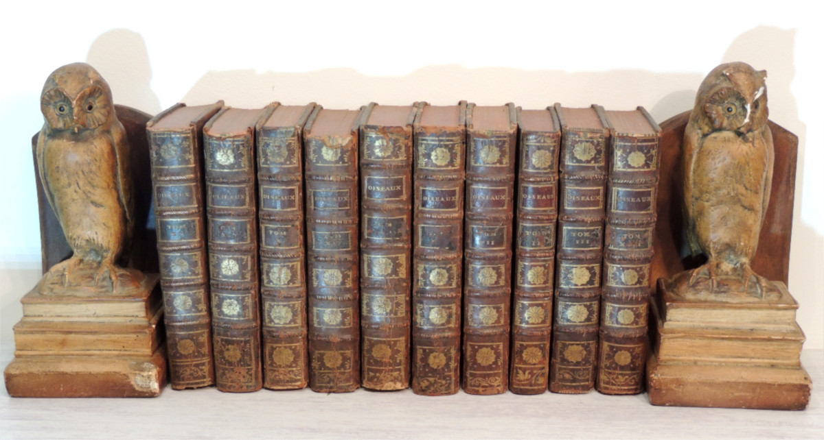 Natural History Of Birds, 10 Volumes, Published In Paris By The Royal Printing House, By M. Buffon, 18th Century