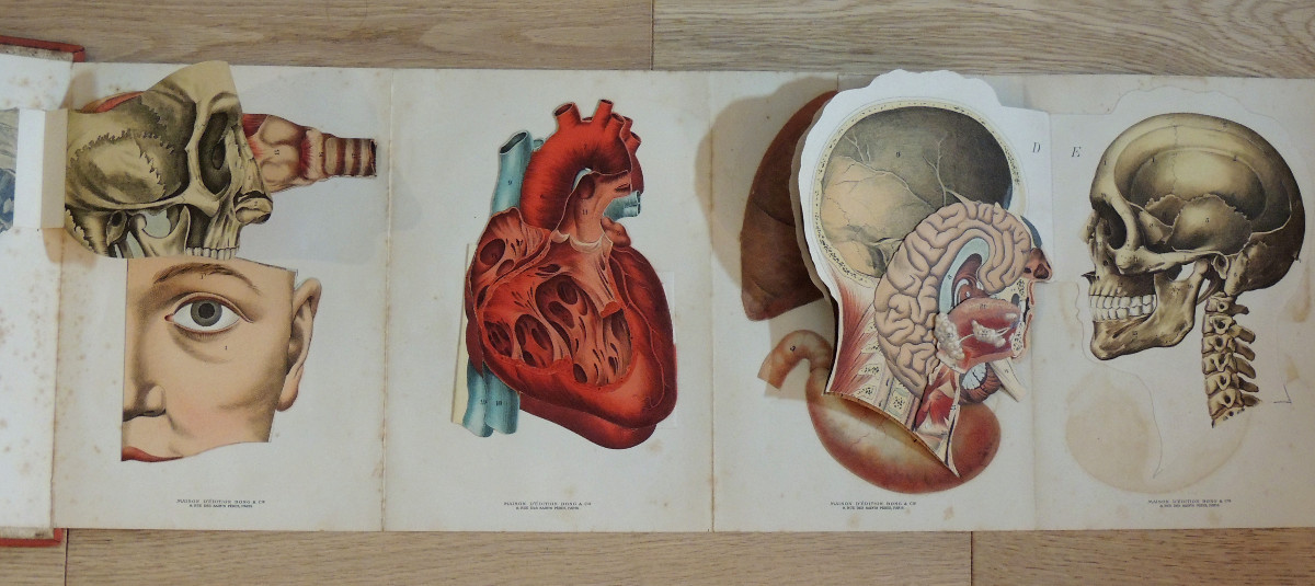 Golden Book Of Health, Bong & C.ie Paris Edition, Volumes 1 And 2 + Special Edition, Late 19th Century-photo-2
