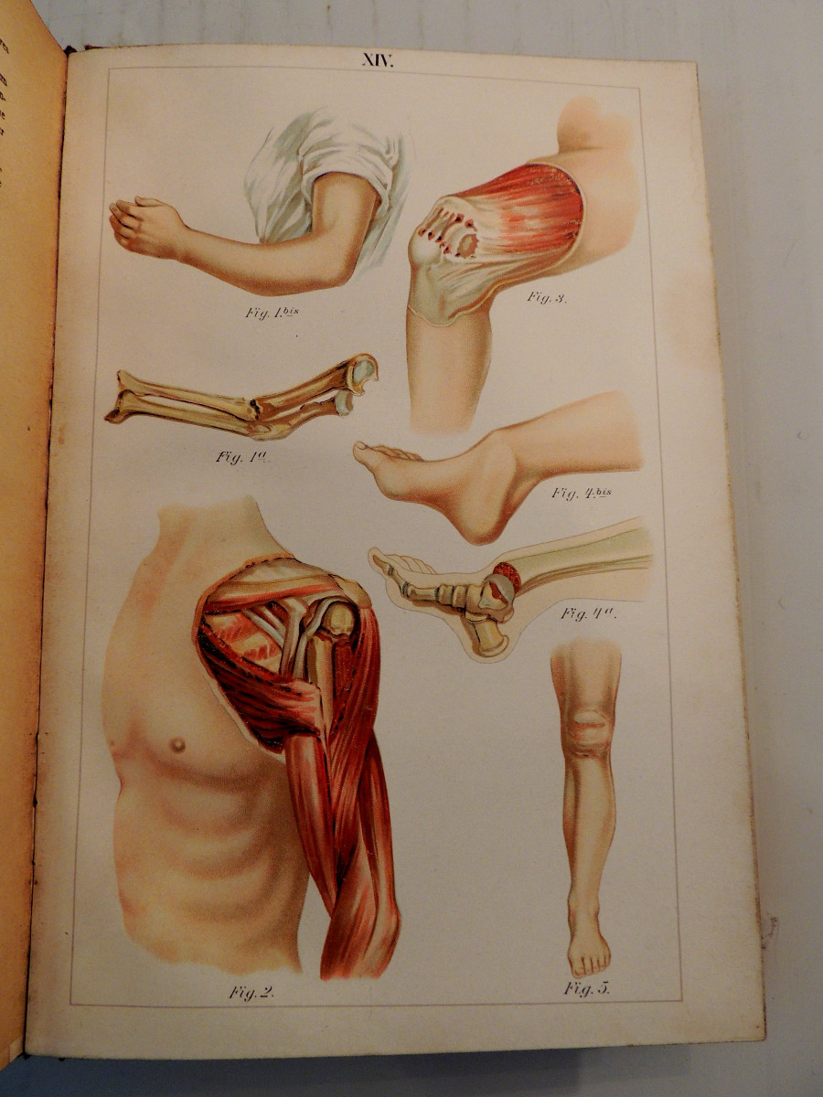 Golden Book Of Health, Bong & C.ie Paris Edition, Volumes 1 And 2 + Special Edition, Late 19th Century-photo-3