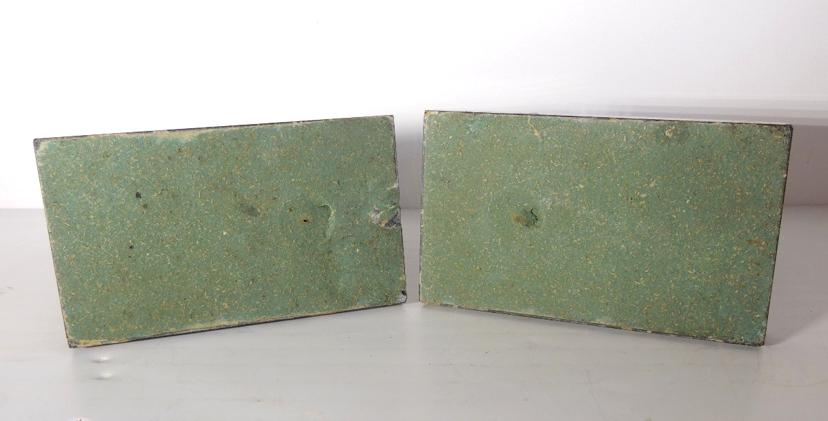serre livres du sculpteur animalier Irénée Rochard , couple de dindes en bronze argenté ,20 ème-photo-7