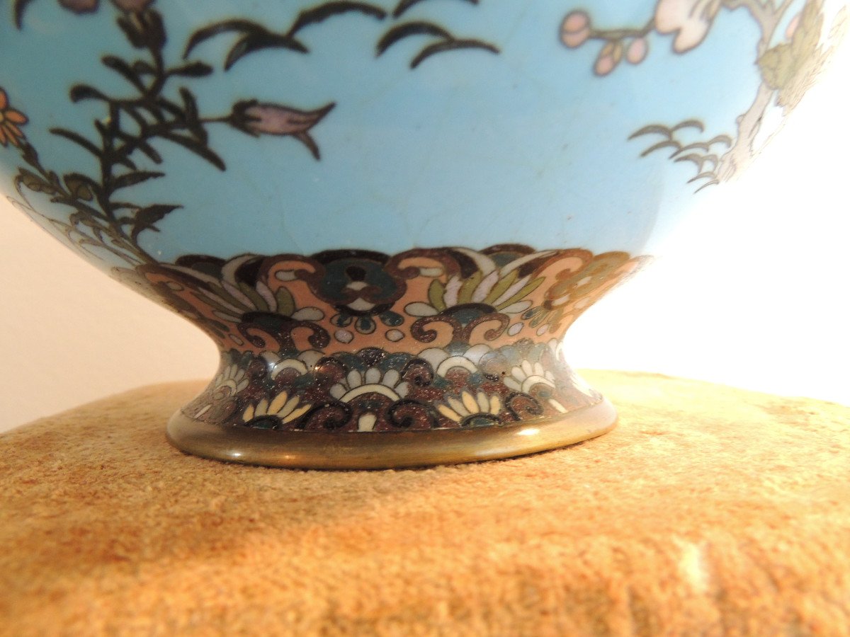 Vase En Bronze à émaux Cloisonnés , Japon Meiji XIX ème Siècle , Décor d'Oiseaux Sur Fond Bleu-photo-6