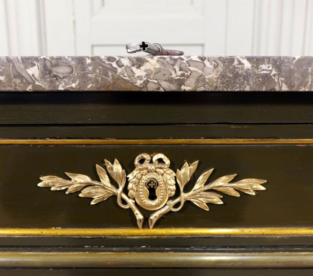 Commode d'époque Louis XVI Relaquée Aux Motifs Japonais-photo-8