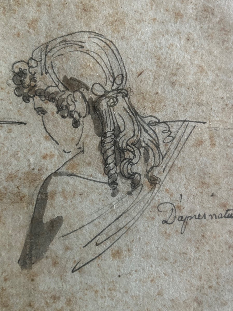 Studies Of Woman In Bust-photo-3