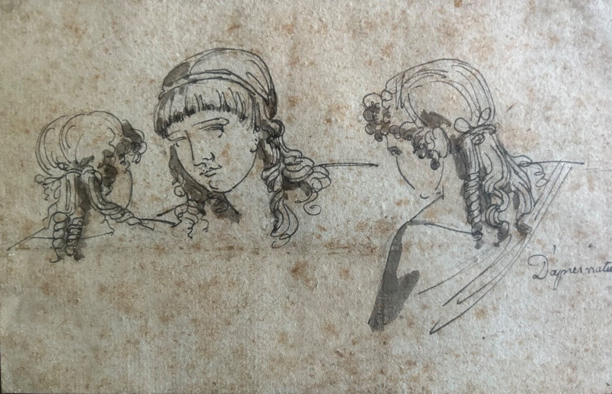 Studies Of Woman In Bust