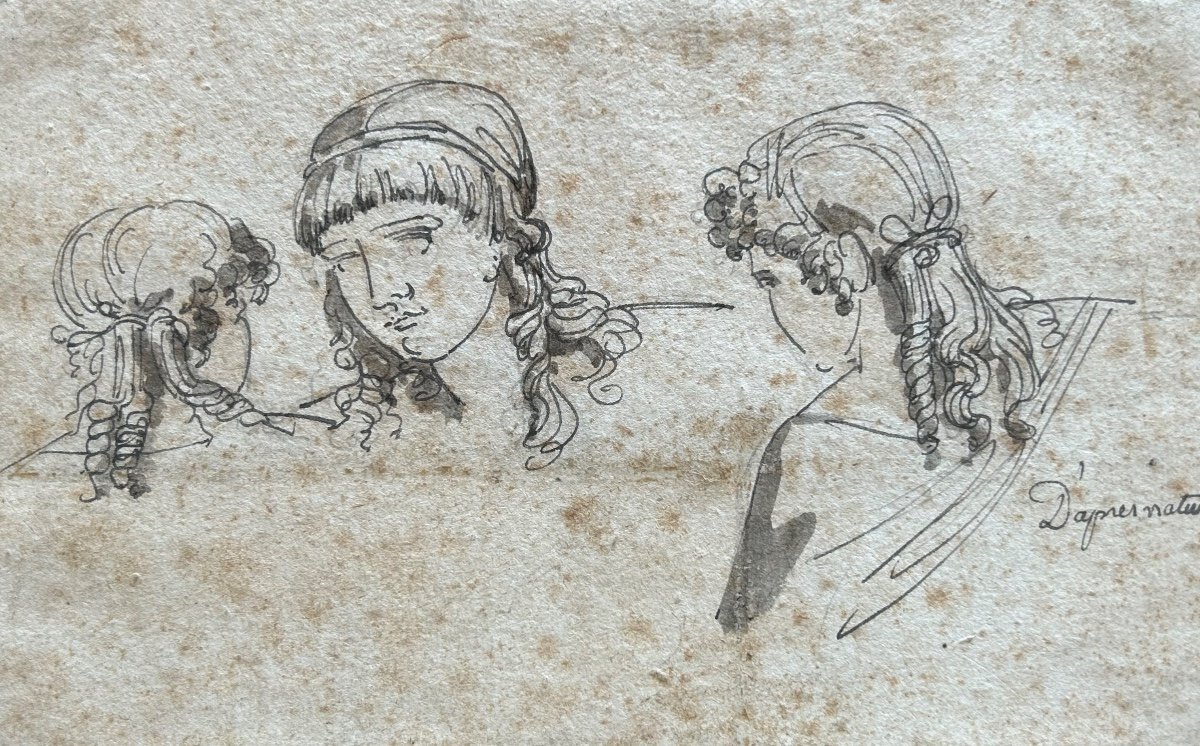 Études  De Femmes En Buste -photo-2