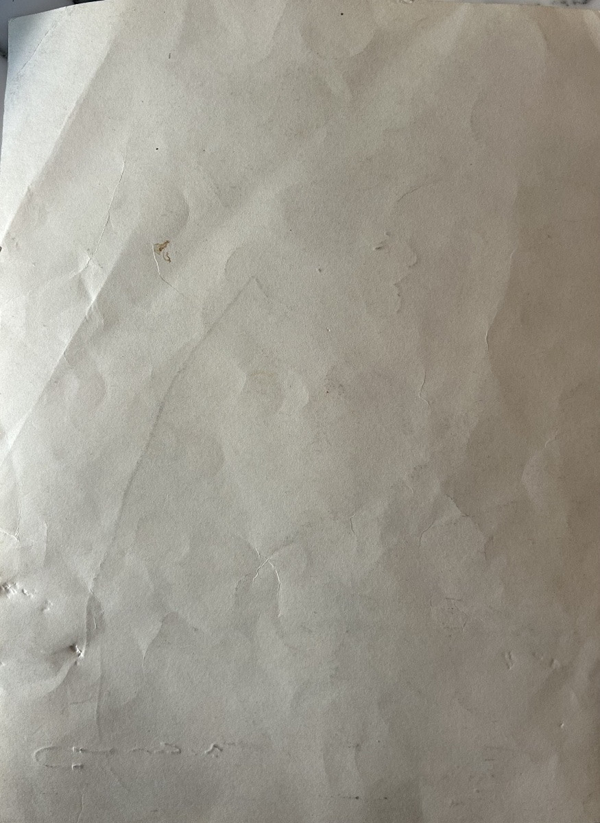 Profil de femme Ramon Casas XXème-photo-3