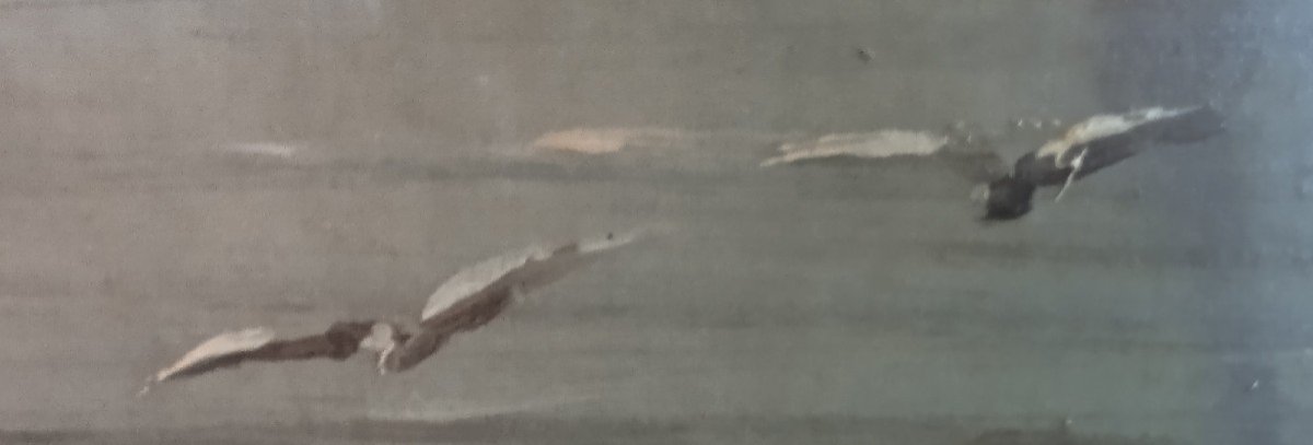HSP 19ème "Retour de pêche"-photo-2
