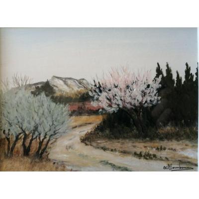 Tombereau Michel (Nîmes, 1945-...) Provence Alpilles