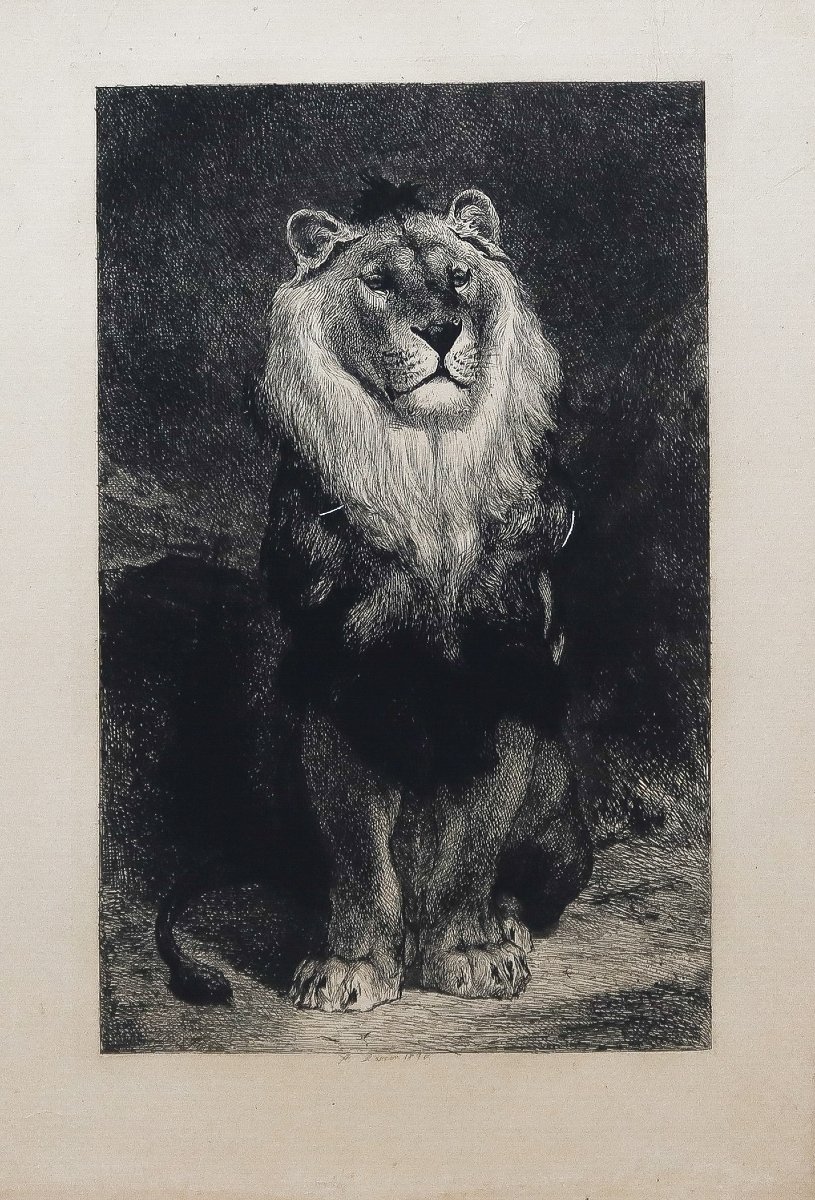 Gravures anciennes – Lion et Lionne -photo-2