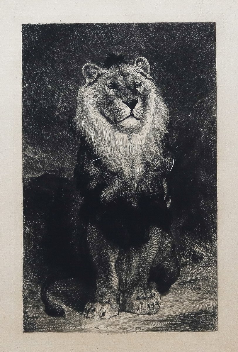 Gravures anciennes – Lion et Lionne -photo-3