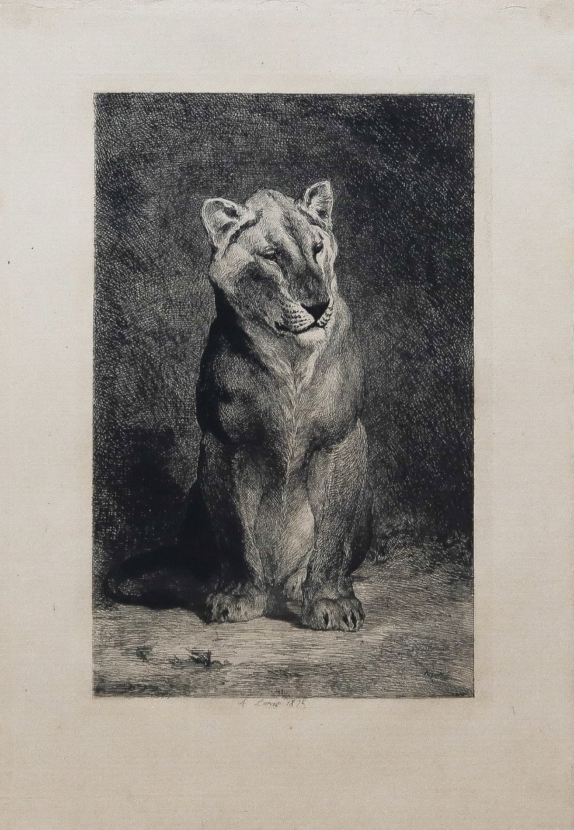 Gravures anciennes – Lion et Lionne -photo-4
