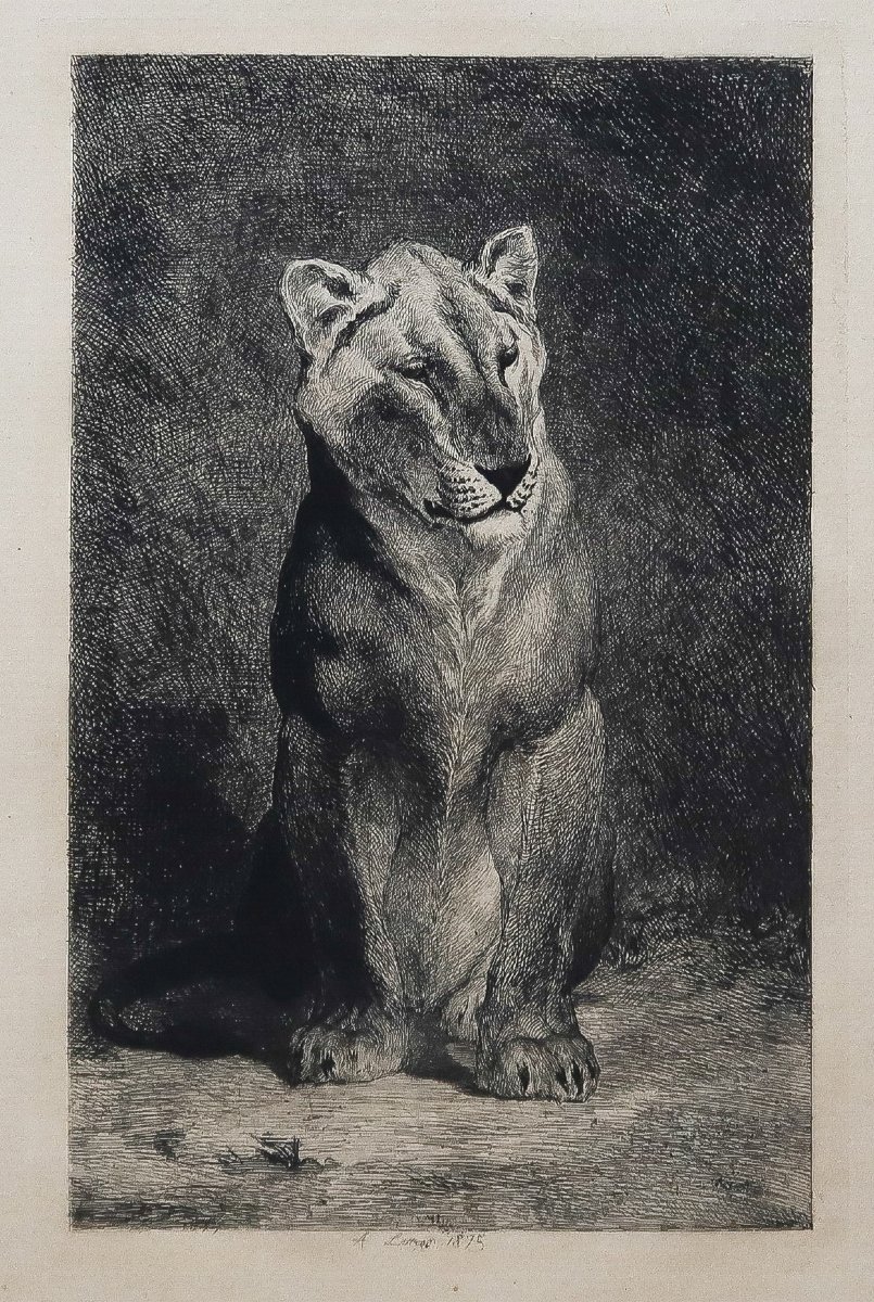 Gravures anciennes – Lion et Lionne -photo-1