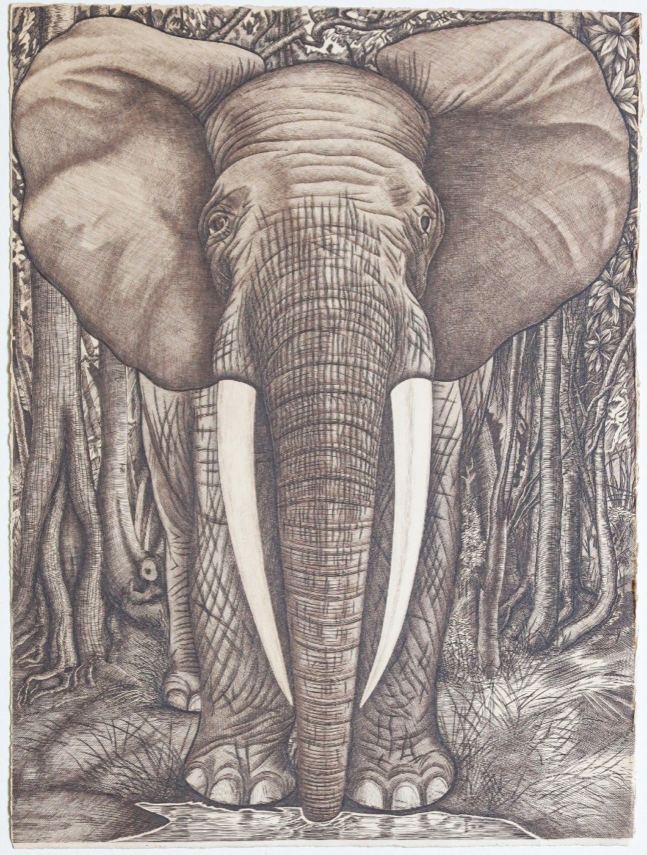 The Elephant - Original Etching