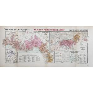 Carte ancienne des vins – Vinicole – Champagne