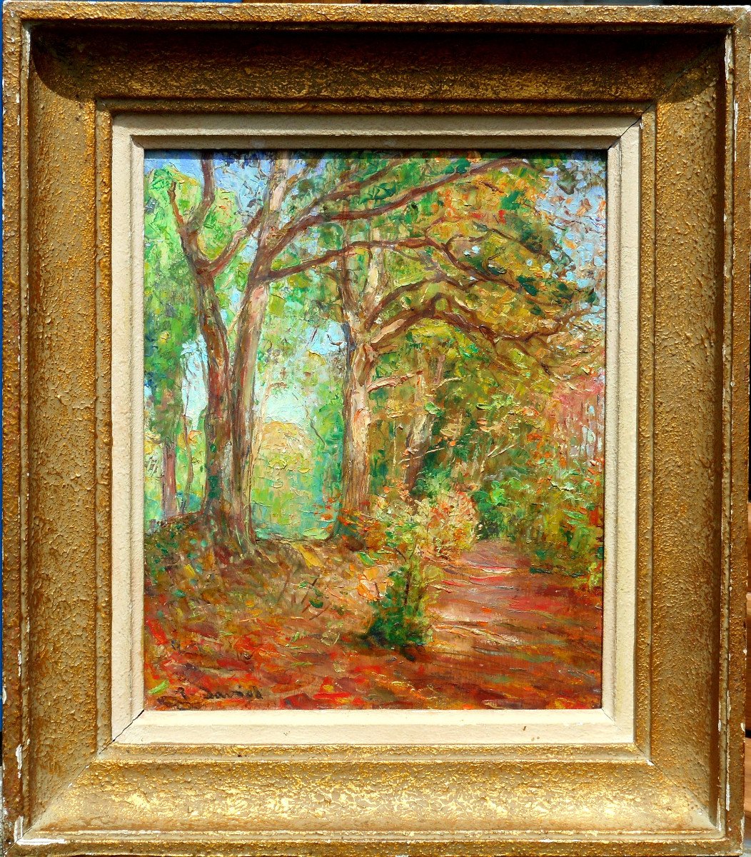 Raoul David (1876-1950) Bretagne - Vitré - Rennes Hsb 28 X 23 Cm - Undergrowth In Autumn-photo-3