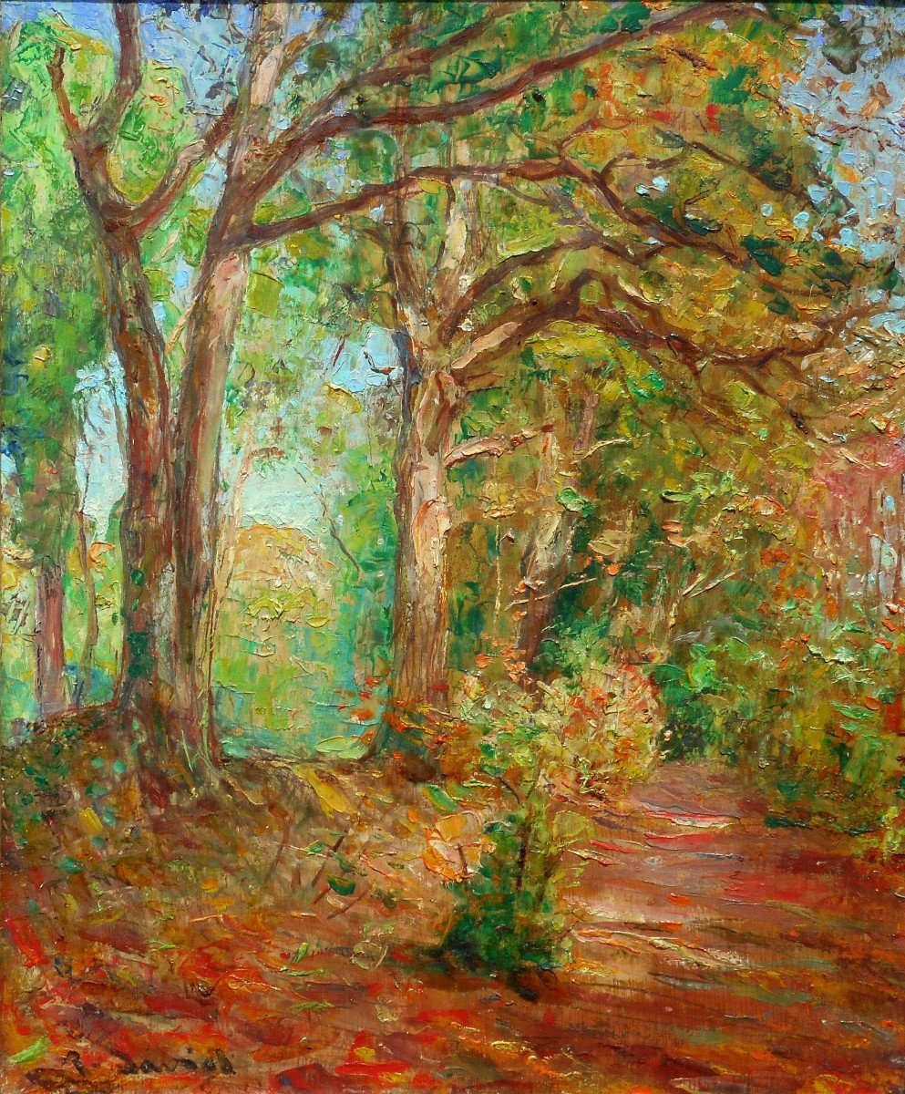Raoul David (1876-1950) Bretagne - Vitré - Rennes Hsb 28 X 23 Cm - Undergrowth In Autumn