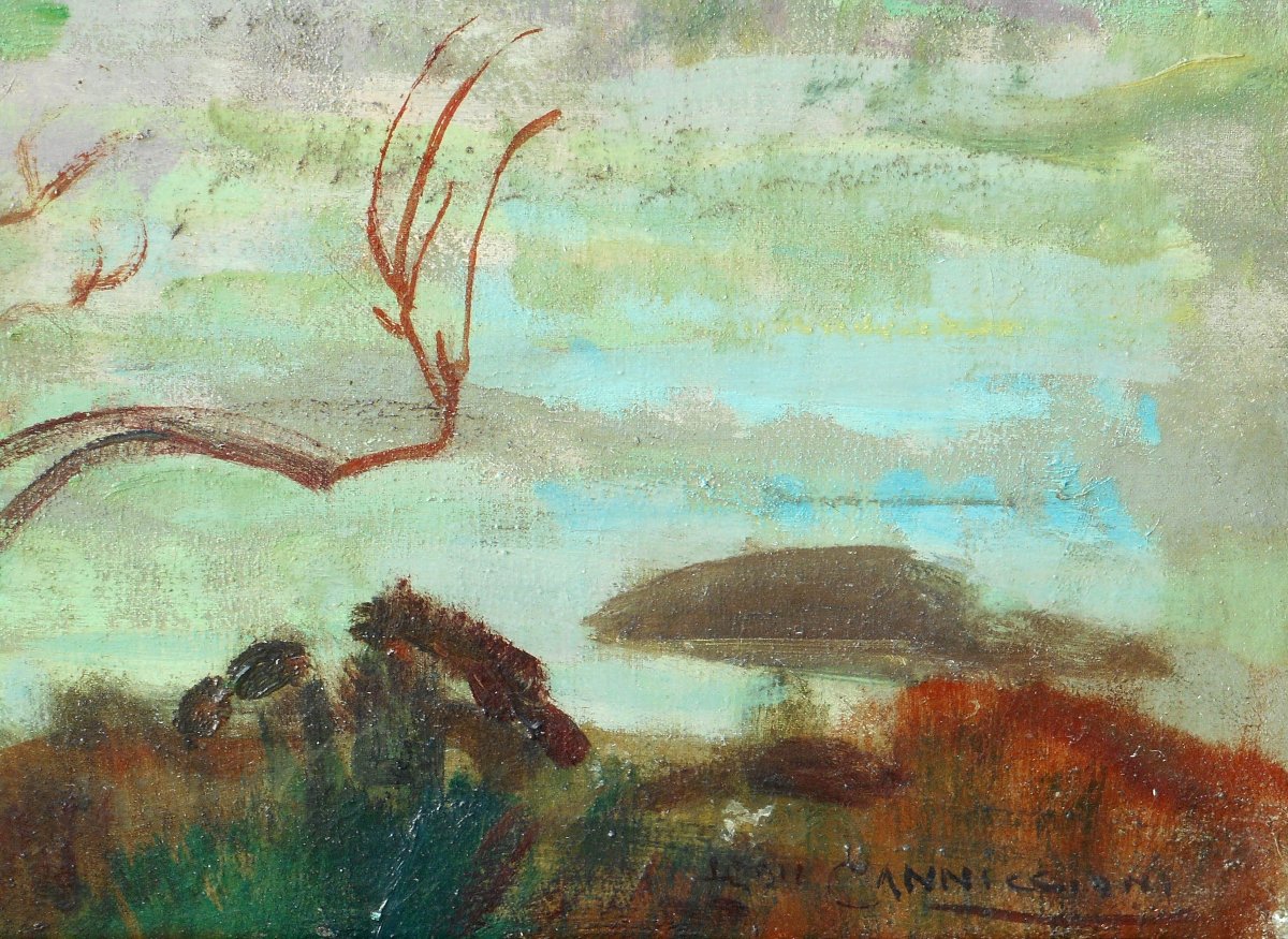 Léon CANNICIONI (1879/1957) Le LIAMONE ( CORSE) HST 55 x 73 cm-photo-3