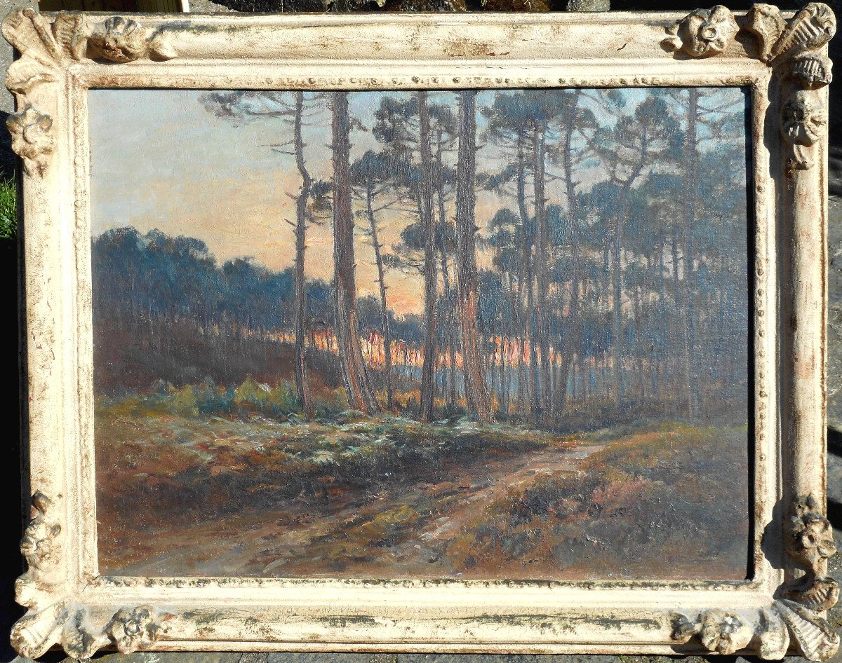 Marius Gueit (1877-1956) Landes Landscape (sourgen)-photo-2