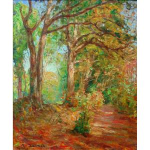 Raoul DAVID ( 1876-1950) BRETAGNE - Vitré - RENNES hsb 28 x 23 cm - sous bois en automne